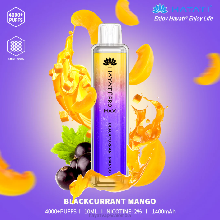 mango de grosella negro