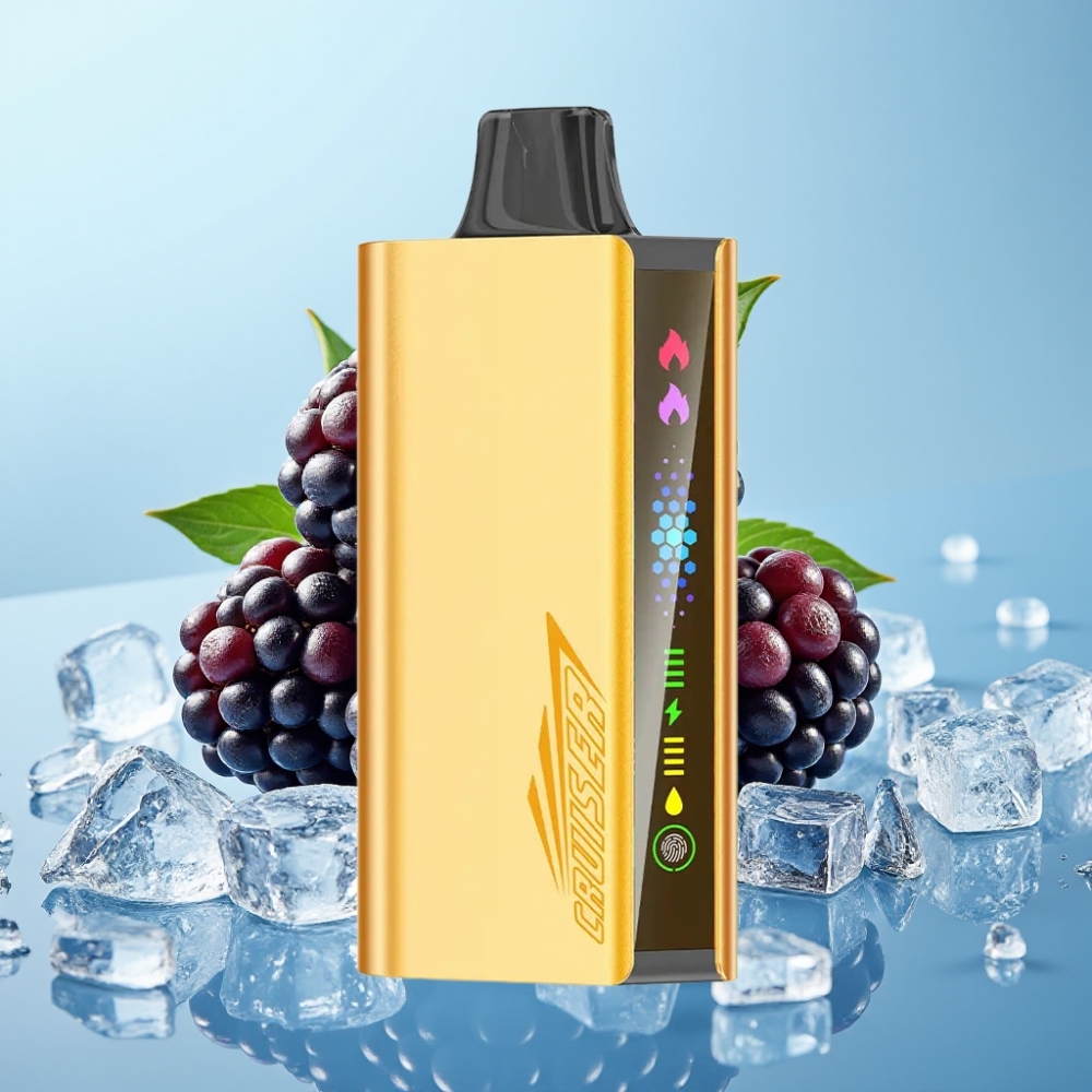 JNR Cruiser 12000 Puffs Sin Carga Vape Desechable 25ml Dual Mesh Cuerpo de Aluminio Zarzamora Helada