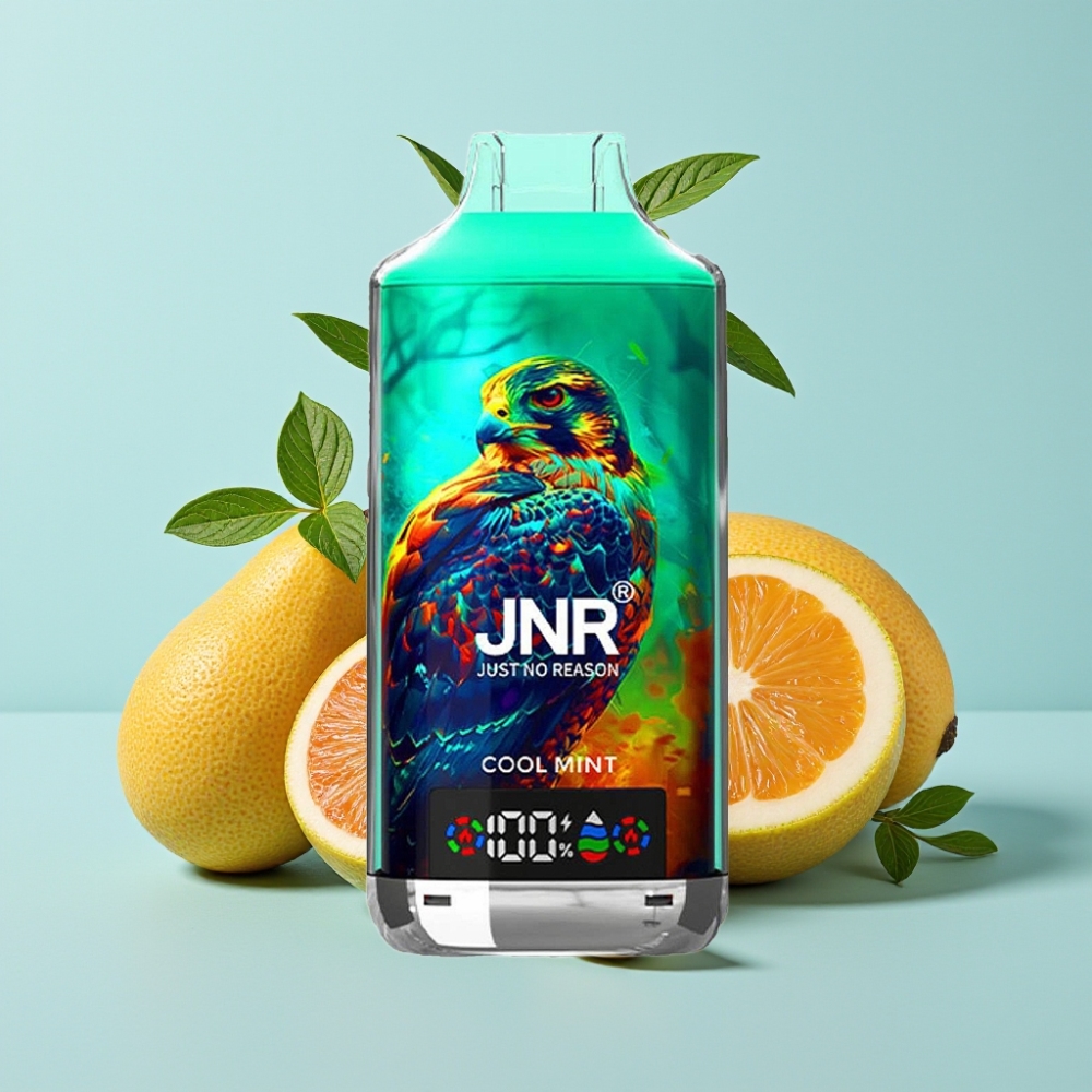 JNR Falcon X 18000 Puffs 24ml Menta Fresca Doble Malla Pantalla Digital Tipo-C
