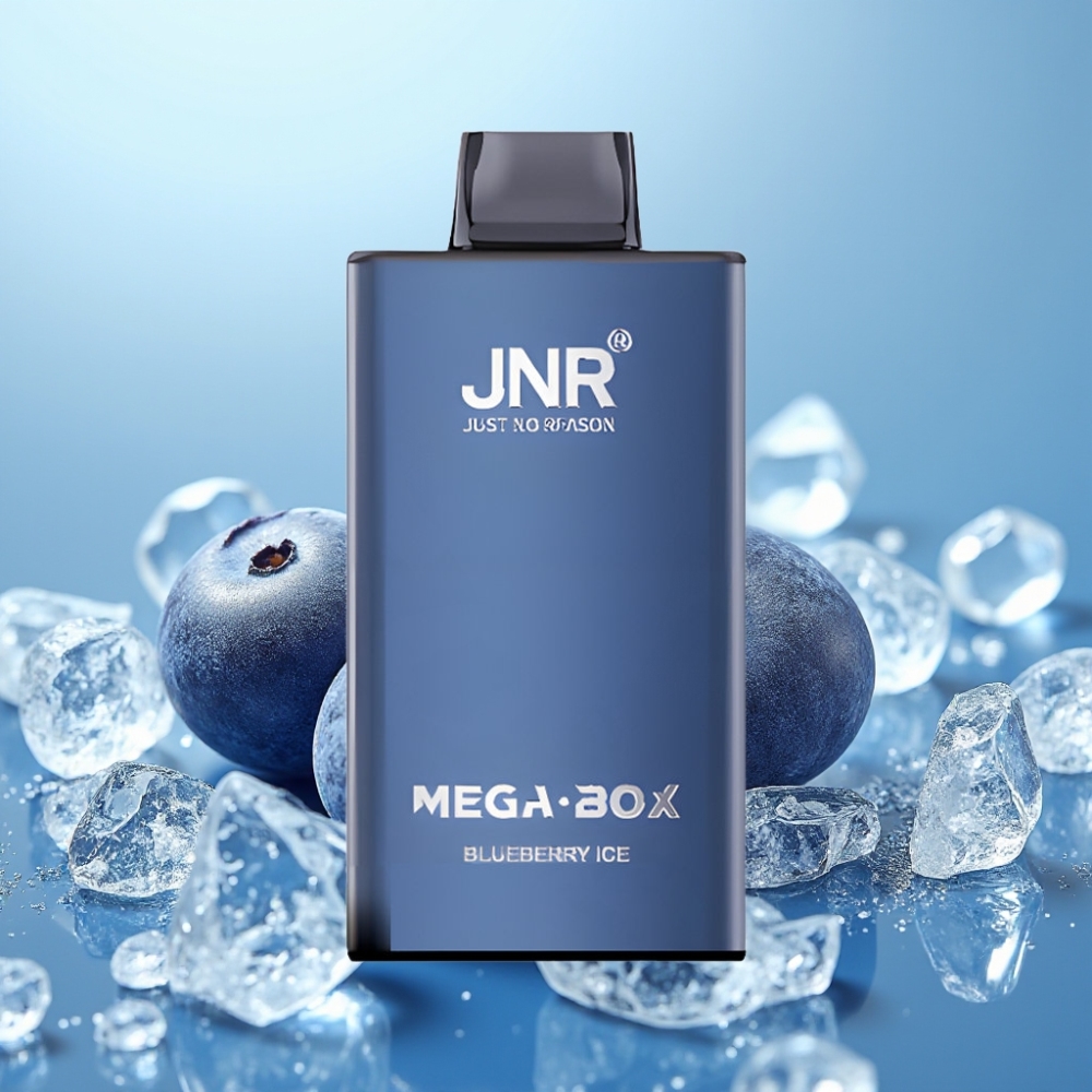 JNR Mega Box 25000 Puffs Vape Desechable 30ml 850mAh Dual Mesh Carga Rápida Type-C 2 Nicotina Sabor Arándano Helado