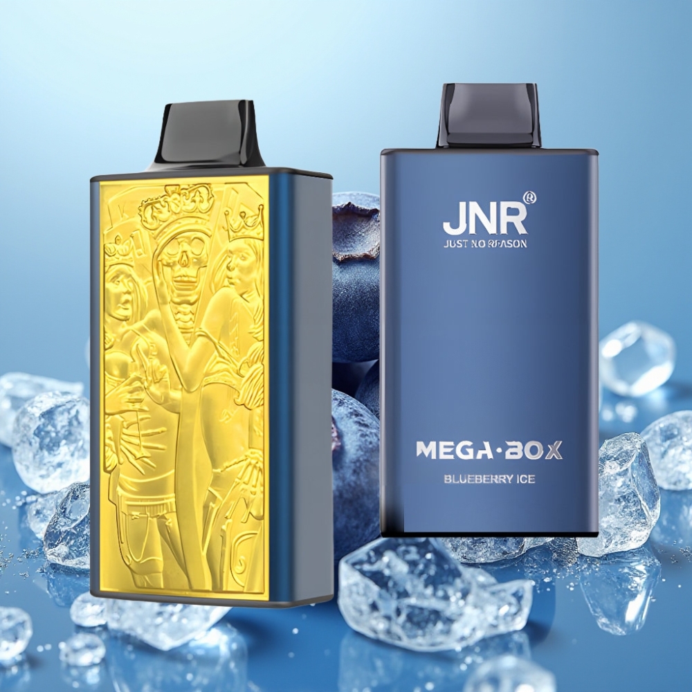JNR Mega Box 25000 Puffs Vape Desechable 30ml 850mAh Dual Mesh Carga Rápida Type-C 2 Nicotina Sabor Arándano Helado