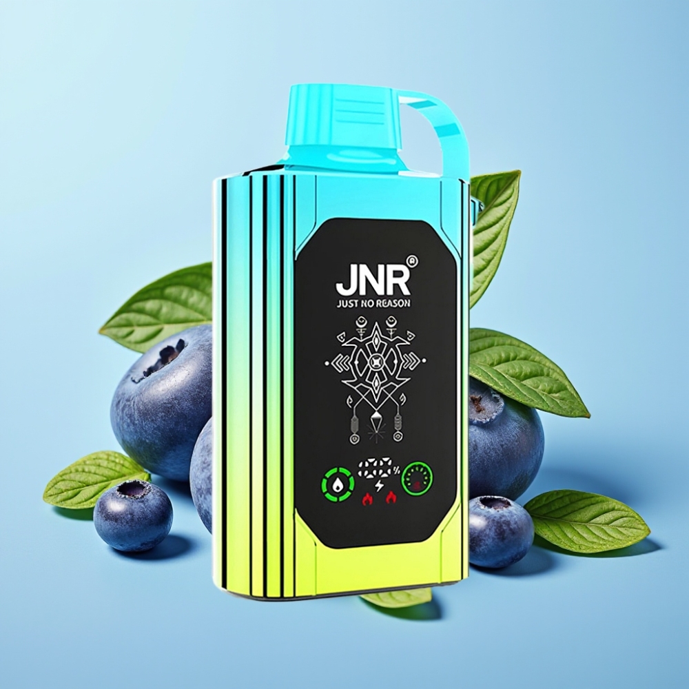 JNR Shisha Hookah Box 20500 Puffs Pantalla HD 1000mAh 25ml Dual Mesh Coil Carga Rápida Type-C 025 Menta Arándano
