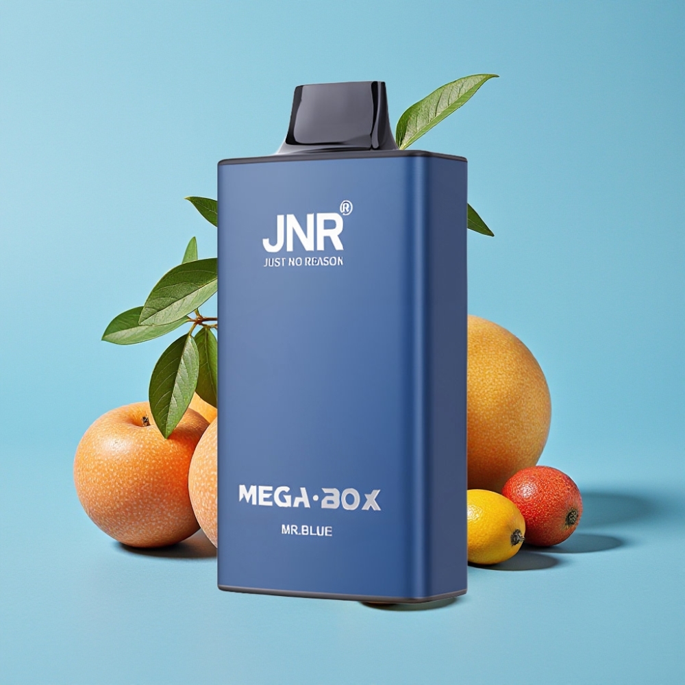 JNR Mega Box 25000 Puffs 30ml 850mAh Carga Rápida Tipo-C Sabor Sr. Azul